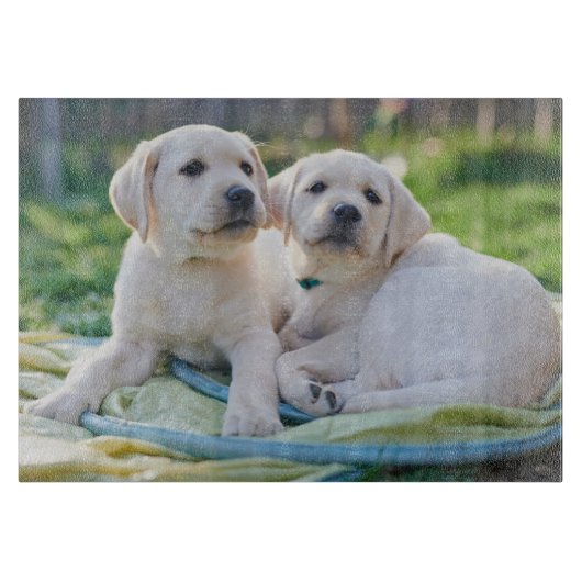 Kutest Baby Animals | Gele labrador Retrievers Snijplank (Voorkant)