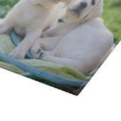 Kutest Baby Animals | Gele labrador Retrievers Snijplank (Hoek)