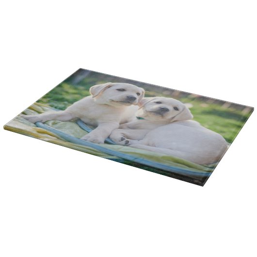 Kutest Baby Animals | Gele labrador Retrievers Snijplank (Hoek)