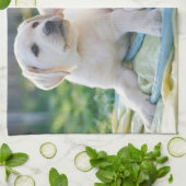 Kutest Baby Animals | Gele labrador Retrievers Theedoek (Gevouwen)