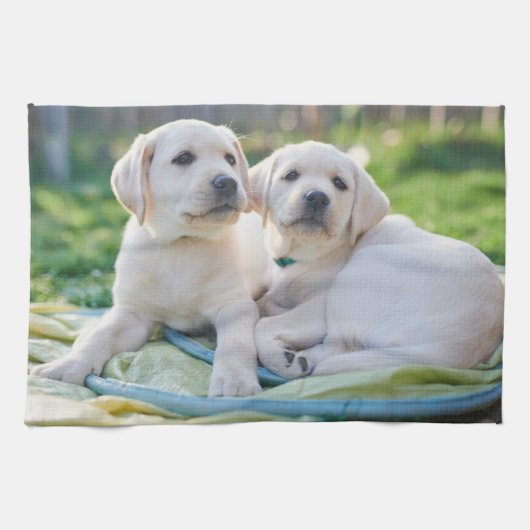 Kutest Baby Animals | Gele labrador Retrievers Theedoek (Horizontaal)