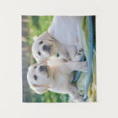 Kutest Baby Animals | Gele labrador Retrievers Wandkleed (Voorkant)