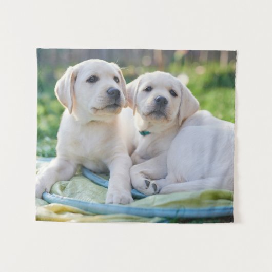 Kutest Baby Animals | Gele labrador Retrievers Wandkleed (Voorkant (horizontaal))