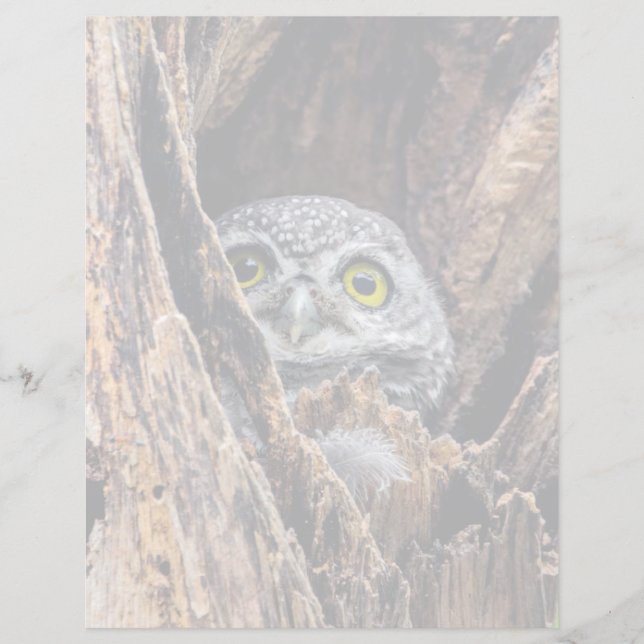 Kutest Baby Animals | Gepotte eigenaar (Voorkant)
