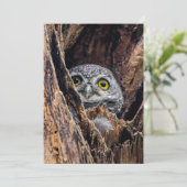 Kutest Baby Animals | Gepotte eigenaar Bedankkaart (Staand voorkant)