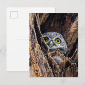 Kutest Baby Animals | Gepotte eigenaar Briefkaart (Voorkant / Achterkant)