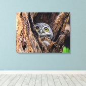 Kutest Baby Animals | Gepotte eigenaar Canvas Afdruk (Insitu (Houten vloer))