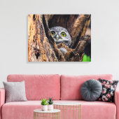 Kutest Baby Animals | Gepotte eigenaar Canvas Afdruk (Insitu (Woonkamer))