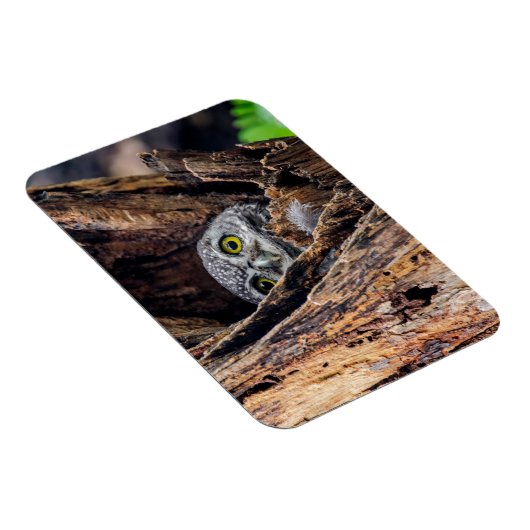 Kutest Baby Animals | Gepotte eigenaar Magneet (Rechterzijde)