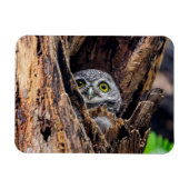 Kutest Baby Animals | Gepotte eigenaar Magneet (Horizontaal)