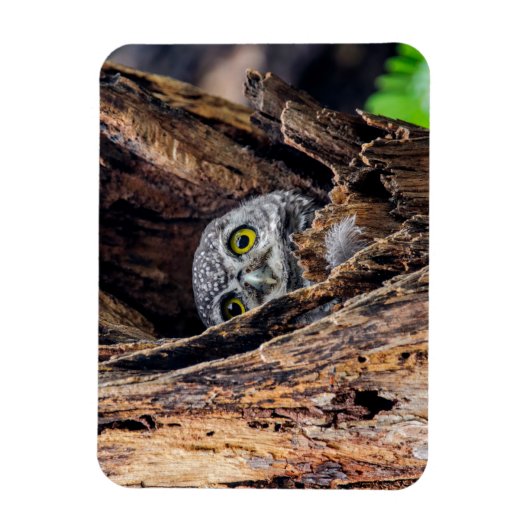 Kutest Baby Animals | Gepotte eigenaar Magneet (Verticaal)