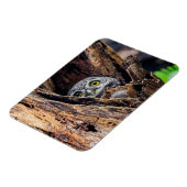 Kutest Baby Animals | Gepotte eigenaar Magneet (Linkerzijde)