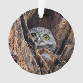 Kutest Baby Animals | Gepotte eigenaar Ornament (voorkant)