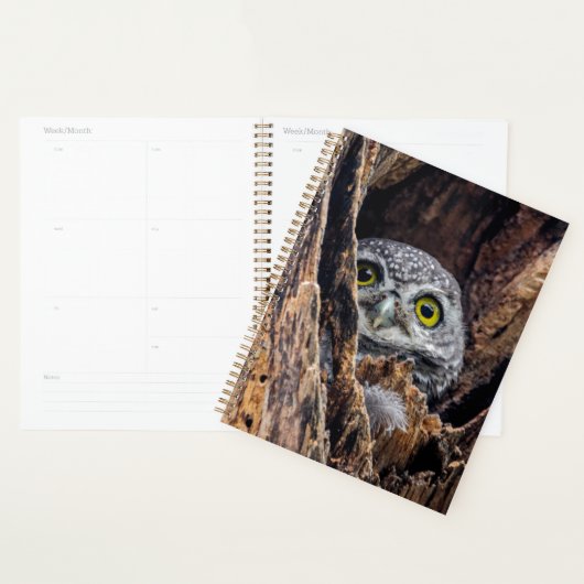 Kutest Baby Animals | Gepotte eigenaar Planner (Display)