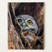 Kutest Baby Animals | Gepotte eigenaar Planner (Achterkant)