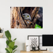 Kutest Baby Animals | Gepotte eigenaar Poster (Thuiskantoor)