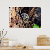 Kutest Baby Animals | Gepotte eigenaar Poster (Keuken)