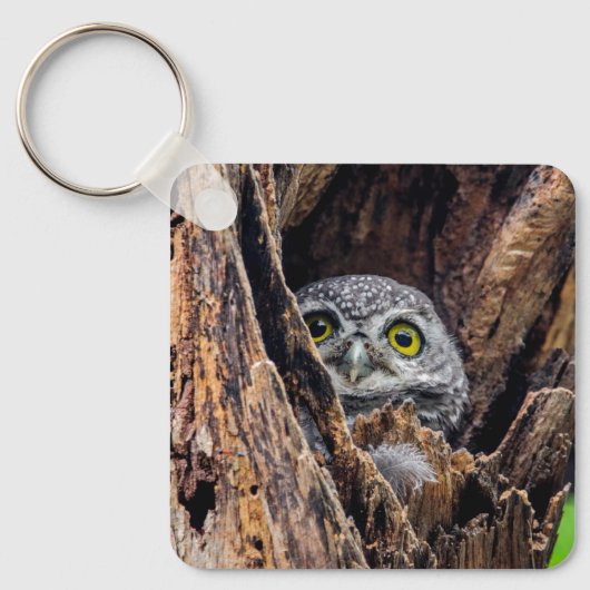 Kutest Baby Animals | Gepotte eigenaar Sleutelhanger (Voorkant)