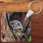 Kutest Baby Animals | Gepotte eigenaar Sleutelhanger (Achterkant)