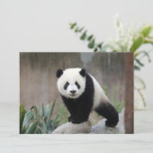 Kutest Baby Animals | Giant Panda Baby Bedankkaart (Staand voorkant)