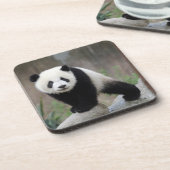 Kutest Baby Animals | Giant Panda Baby Bier Onderzetter (Linkerzijde)