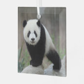Kutest Baby Animals | Giant Panda Baby Glas Ornament (Voorkant links)