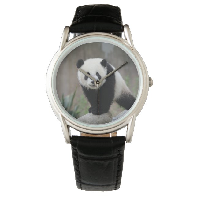 Kutest Baby Animals | Giant Panda Baby Horloge (Voorkant)