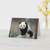 Kutest Baby Animals | Giant Panda Baby Kaart (Gele Bloem)