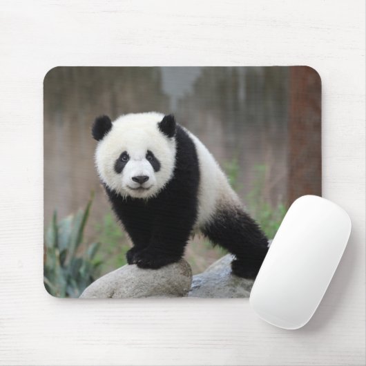 Kutest Baby Animals | Giant Panda Baby Muismat (Met muis)
