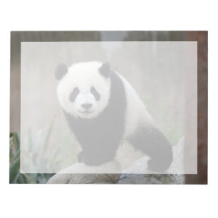 Kutest Baby Animals Giant Panda Baby Notitieblok