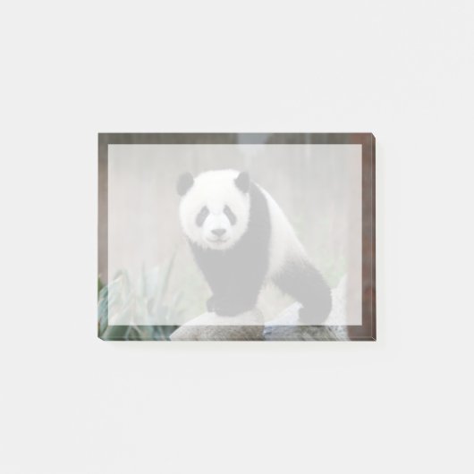 Kutest Baby Animals | Giant Panda Baby Post-it® Notes (Voorkant)