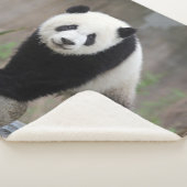 Kutest Baby Animals | Giant Panda Baby Sherpa Deken (3/4)