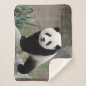 Kutest Baby Animals | Giant Panda Baby Sherpa Deken (Voorkant)