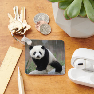 Kutest Baby Animals   Giant Panda Baby Sleutelhanger