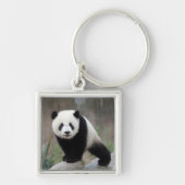 Kutest Baby Animals | Giant Panda Baby Sleutelhanger (Voorkant)
