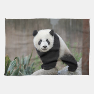 Kutest Baby Animals Giant Panda Baby Theedoek
