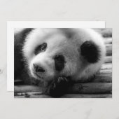 Kutest Baby Animals | Giant Panda Beer Cub Bedankkaart (Voorkant / Achterkant)