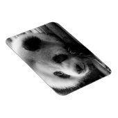 Kutest Baby Animals | Giant Panda Beer Cub Magneet (Rechterzijde)