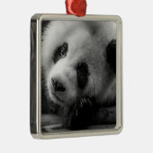 Kutest Baby Animals | Giant Panda Beer Cub Metalen Ornament (Rechts)