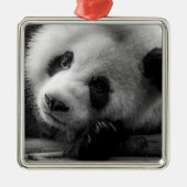 Kutest Baby Animals | Giant Panda Beer Cub Metalen Ornament (Voorkant)