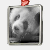 Kutest Baby Animals | Giant Panda Beer Cub Metalen Ornament (Links)
