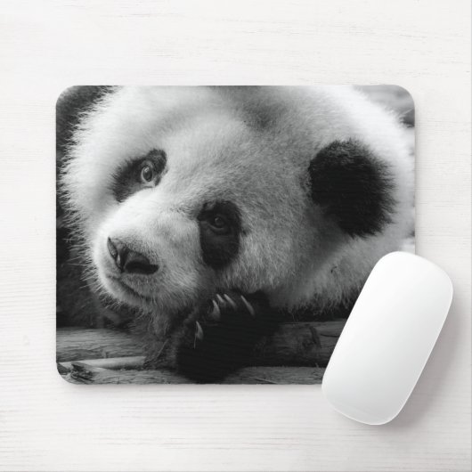 Kutest Baby Animals | Giant Panda Beer Cub Muismat (Met muis)