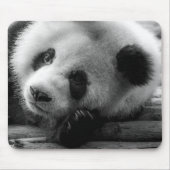 Kutest Baby Animals | Giant Panda Beer Cub Muismat (Voorkant)