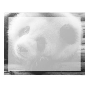 Kutest Baby Animals Giant Panda Beer Cub Notitieblok