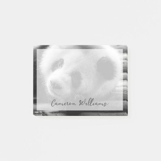 Kutest Baby Animals | Giant Panda Beer Cub Post-it® Notes (Voorkant)