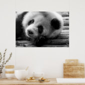 Kutest Baby Animals | Giant Panda Beer Cub Poster (Keuken)