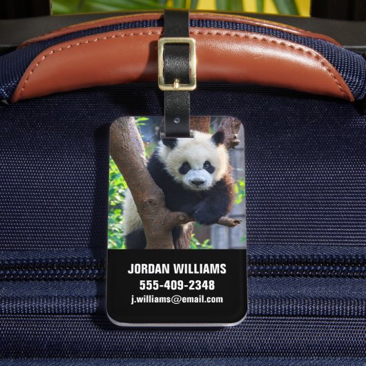 Kutest Baby Animals | Giant Panda Cub Bagagelabel (Voorkant Insitu 2)