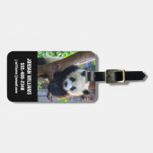Kutest Baby Animals | Giant Panda Cub Bagagelabel (Voorkant horizontaal)