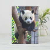 Kutest Baby Animals | Giant Panda Cub Bedankkaart (Staand voorkant)