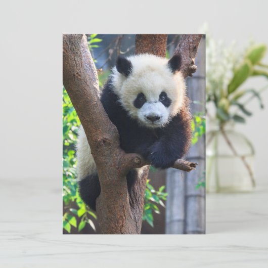 Kutest Baby Animals | Giant Panda Cub Bedankkaart (Staand voorkant)